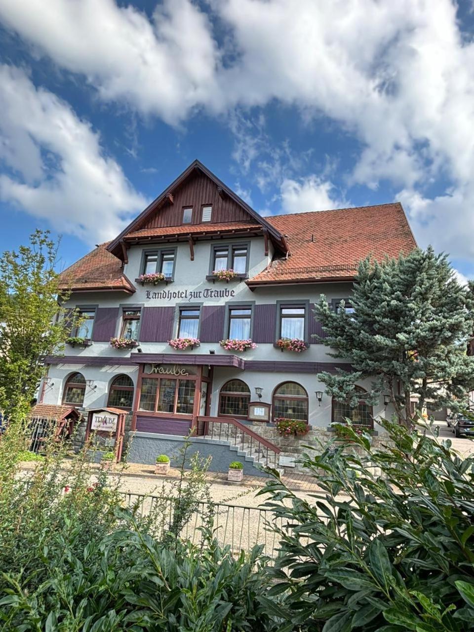 Traube