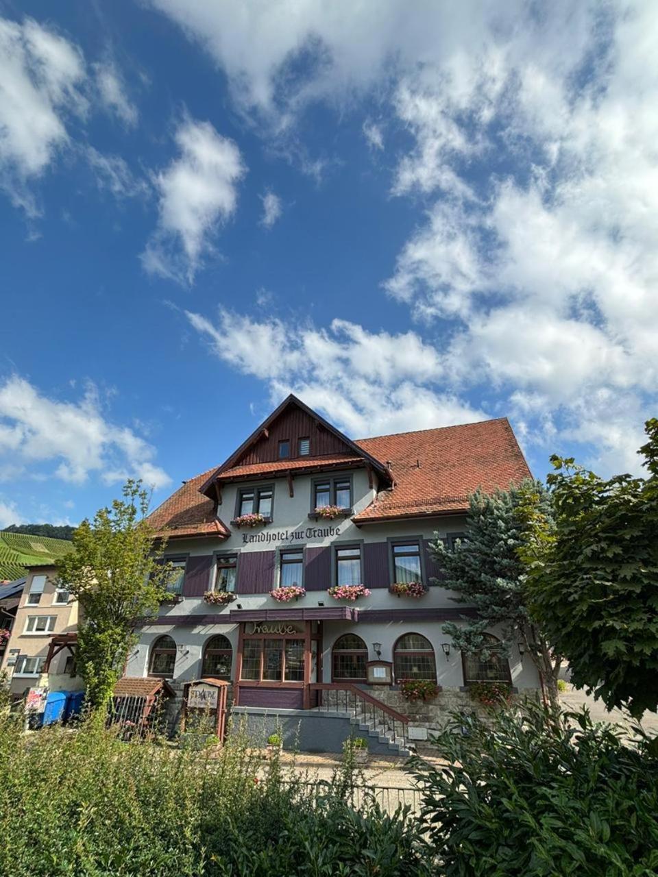 Traube Baden-Baden
