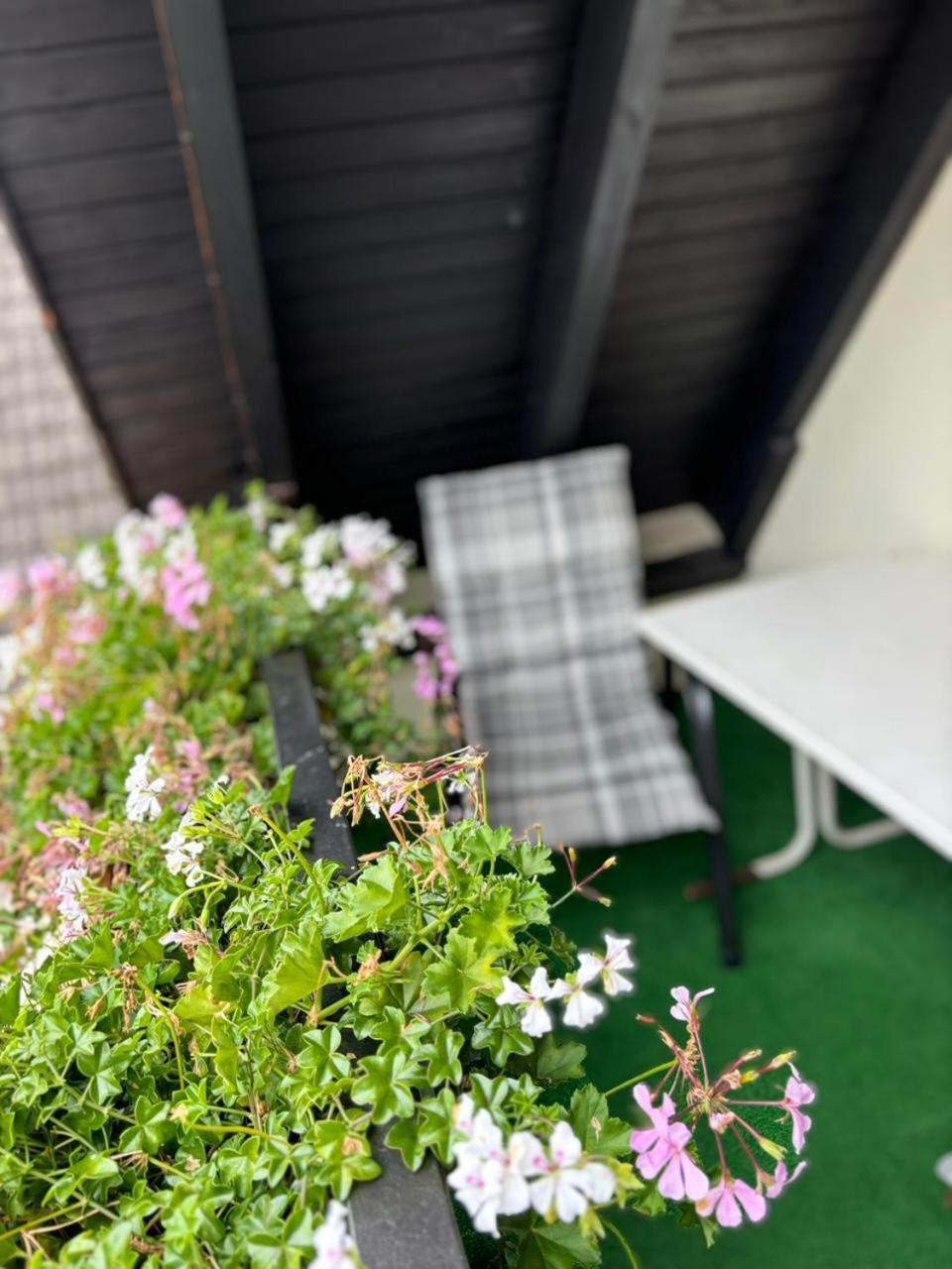 Hotel Traube Baden-Baden
