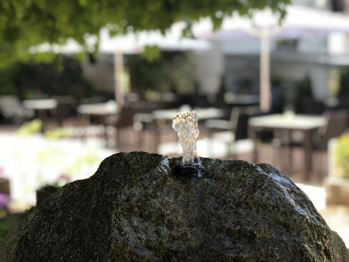 Landhotel&restaurant Traube Hotel
