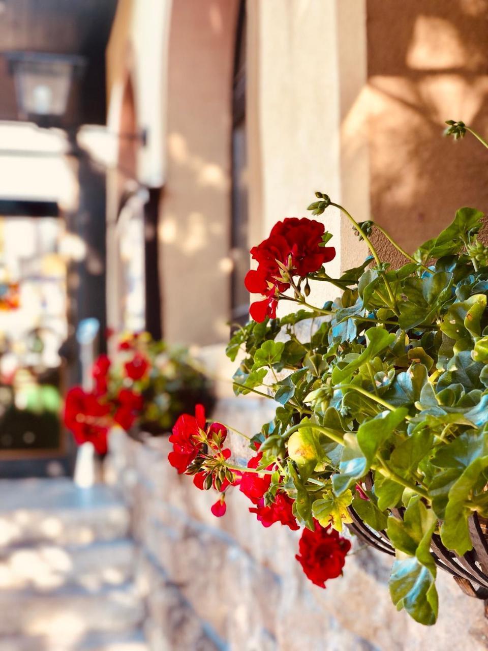 Landhotel&restaurant Traube 4* Baden-Baden